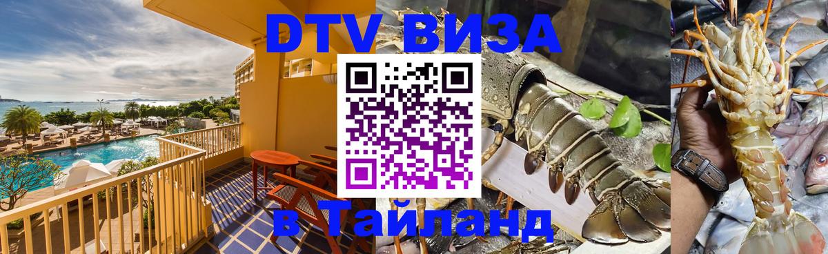 Сколько стоит DTV виза — актуальные цены, оформление даже без документов - 19.11.2025 